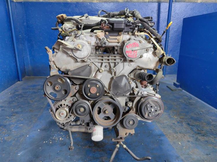 Двигатель Ниссан Эльгранд в Ялте 437558